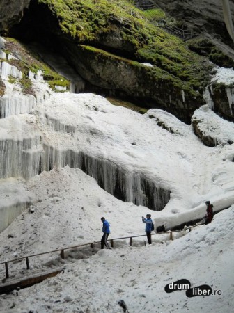 Peştera Scărişoara